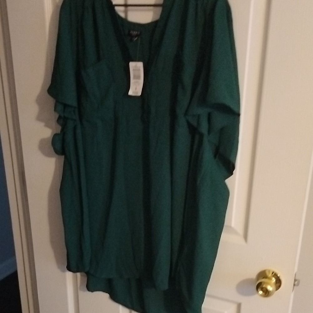 Torrid  Green Dolman Sleeve V-Neck Blouse